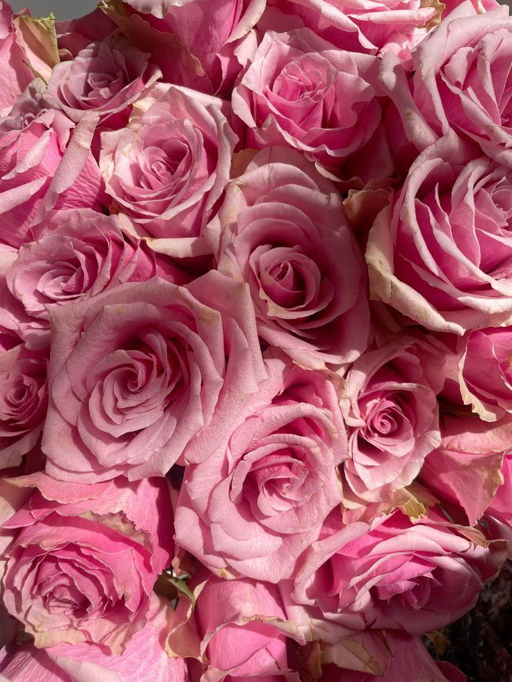 Golden Meadow Collective workshop space where corporate flower arrangements are designed and prepared for business delivery